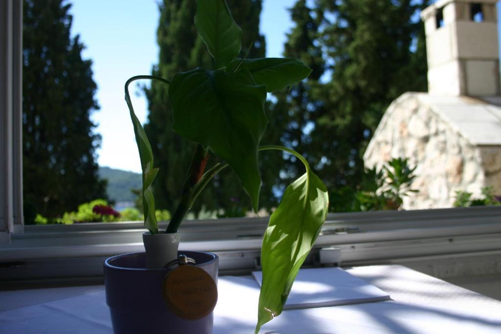 Apartments Dubrovnik Center Rom bilde